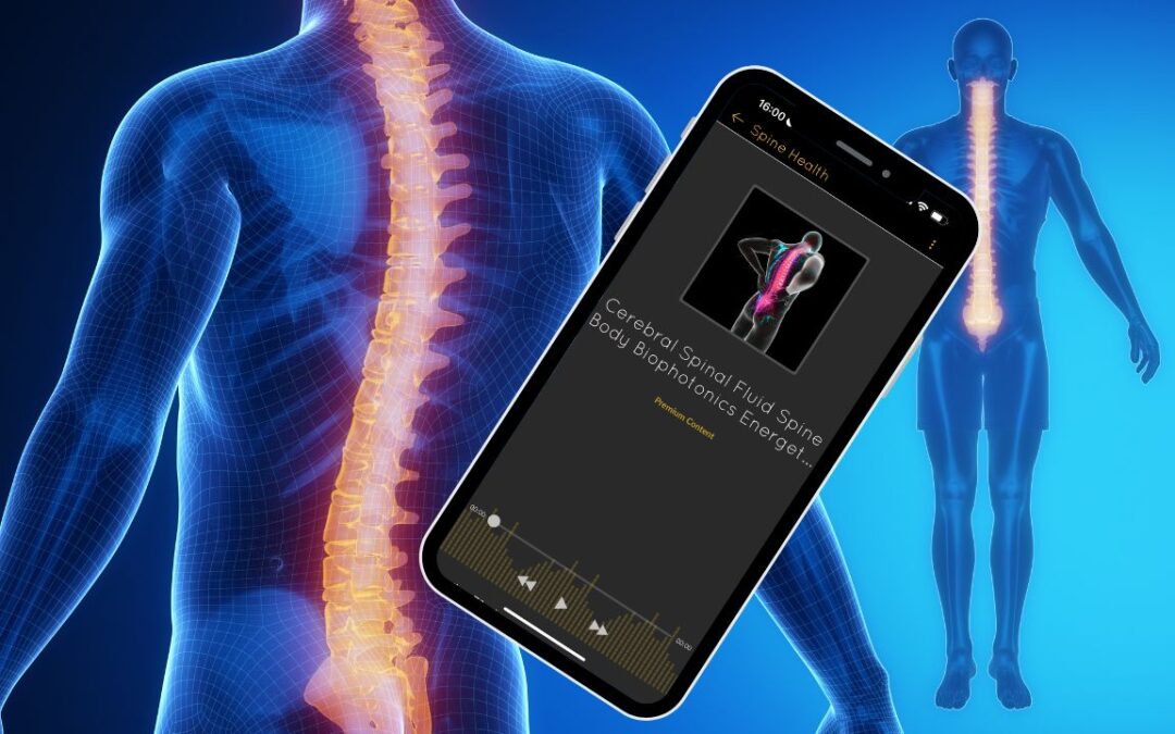 Exploring Frequencies for Spinal Cord Stimulation and Pain Relief