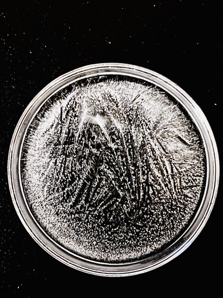 Glioblastoma Multiforme (GBM) Frequency Therapy Program – A Revolutionary Approach to Brain Cancer Support