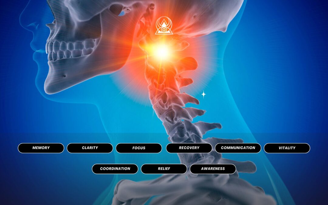 Atlas C1 Brain, Nervous System, Memory Advanced Energetics