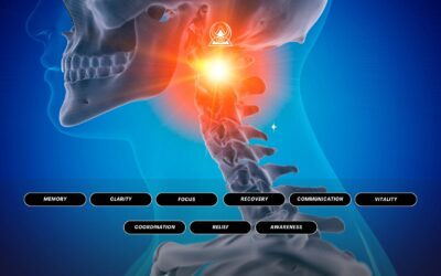 Atlas C1 Brain, Nervous System, Memory Advanced Energetics