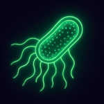 The Science-Backed Power of Frequencies for E. Coli Recovery