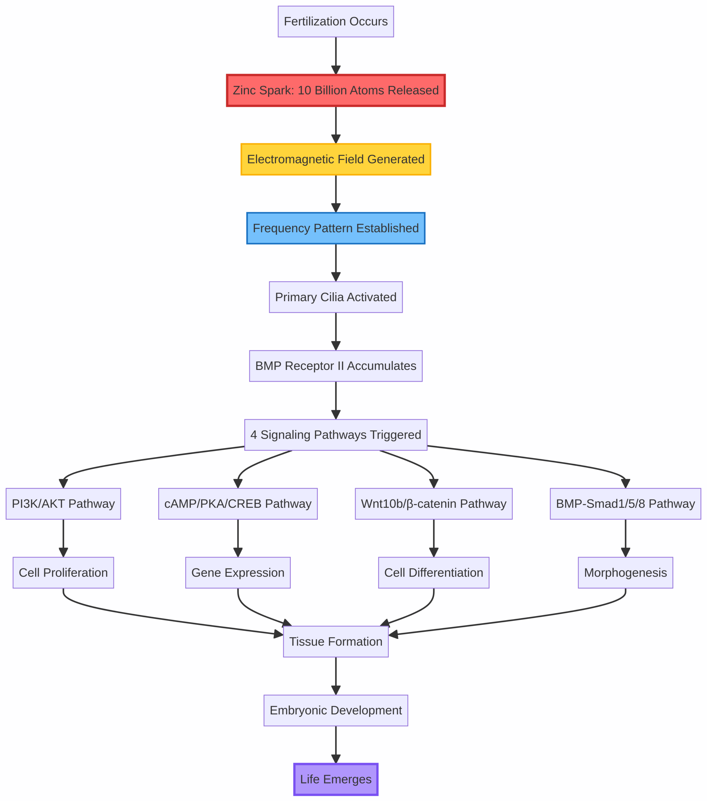 How Frequency Creates Form: From Zinc Spark to Morphogenesis