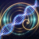 The Billionaire’s Bio-Frequency: Unlocking Whole-Body Coherence with 10 kHz Golden Ratio Harmonics