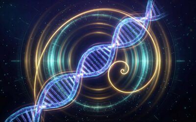 The Billionaire’s Bio-Frequency: Unlocking Whole-Body Coherence with 10 kHz Golden Ratio Harmonics