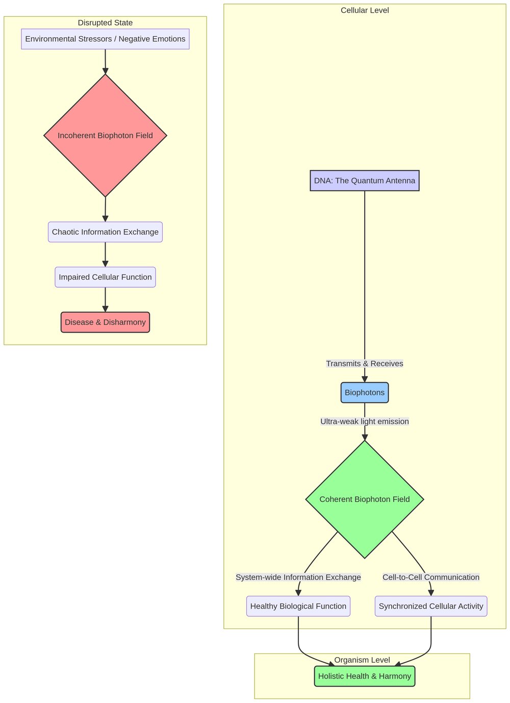 Biophoton Communication Diagram