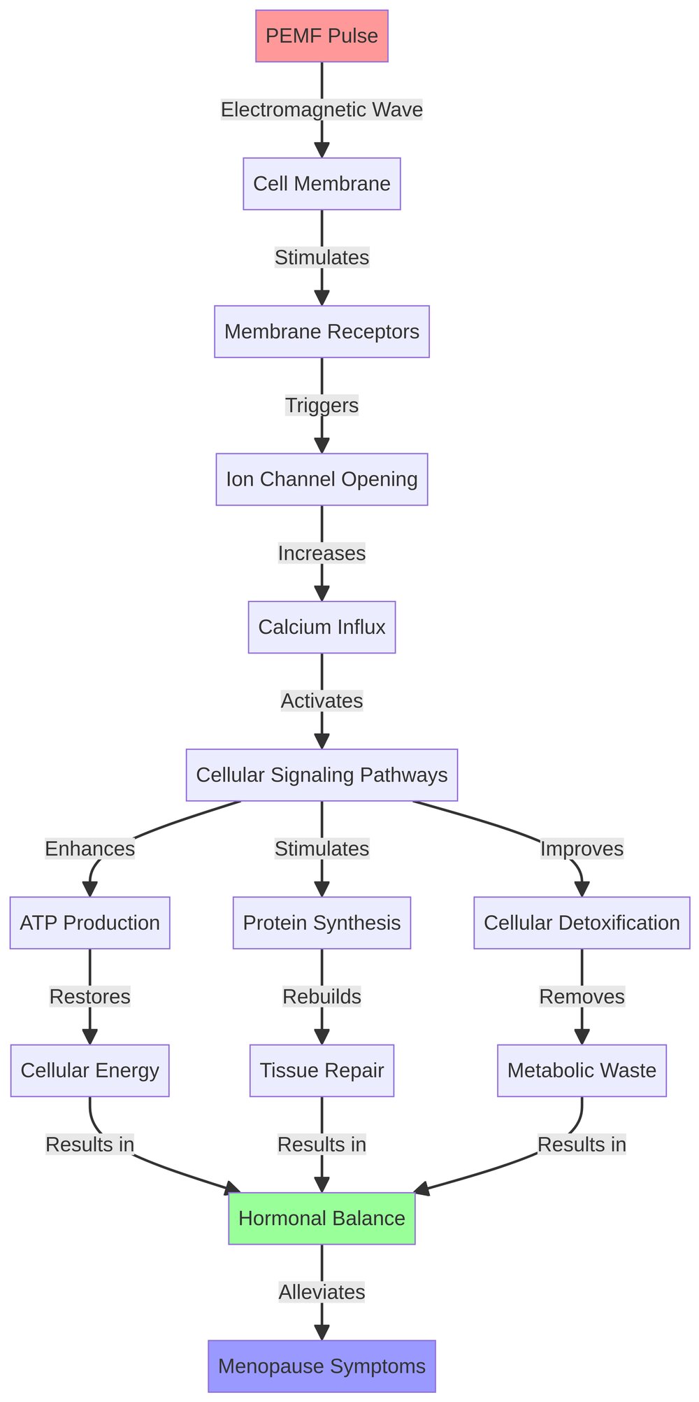 Diagram showing how PEMF therapy interacts with cellular receptors to restore hormonal balance.