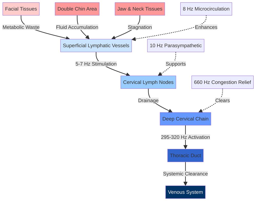 Lymphatic Drainage Pathways Diagram