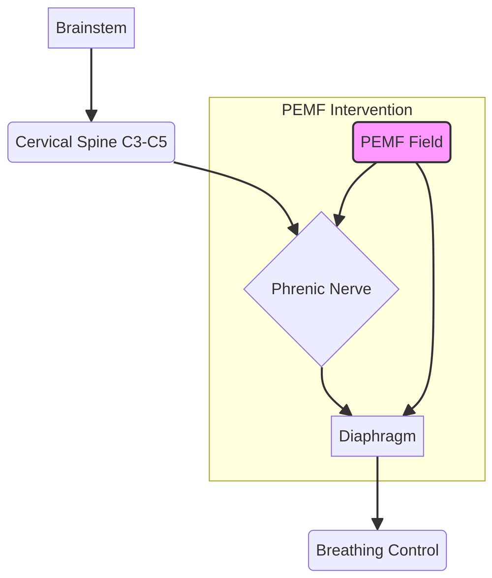 Diagram 1: Phrenic Nerve Pathway and PEMF Influence