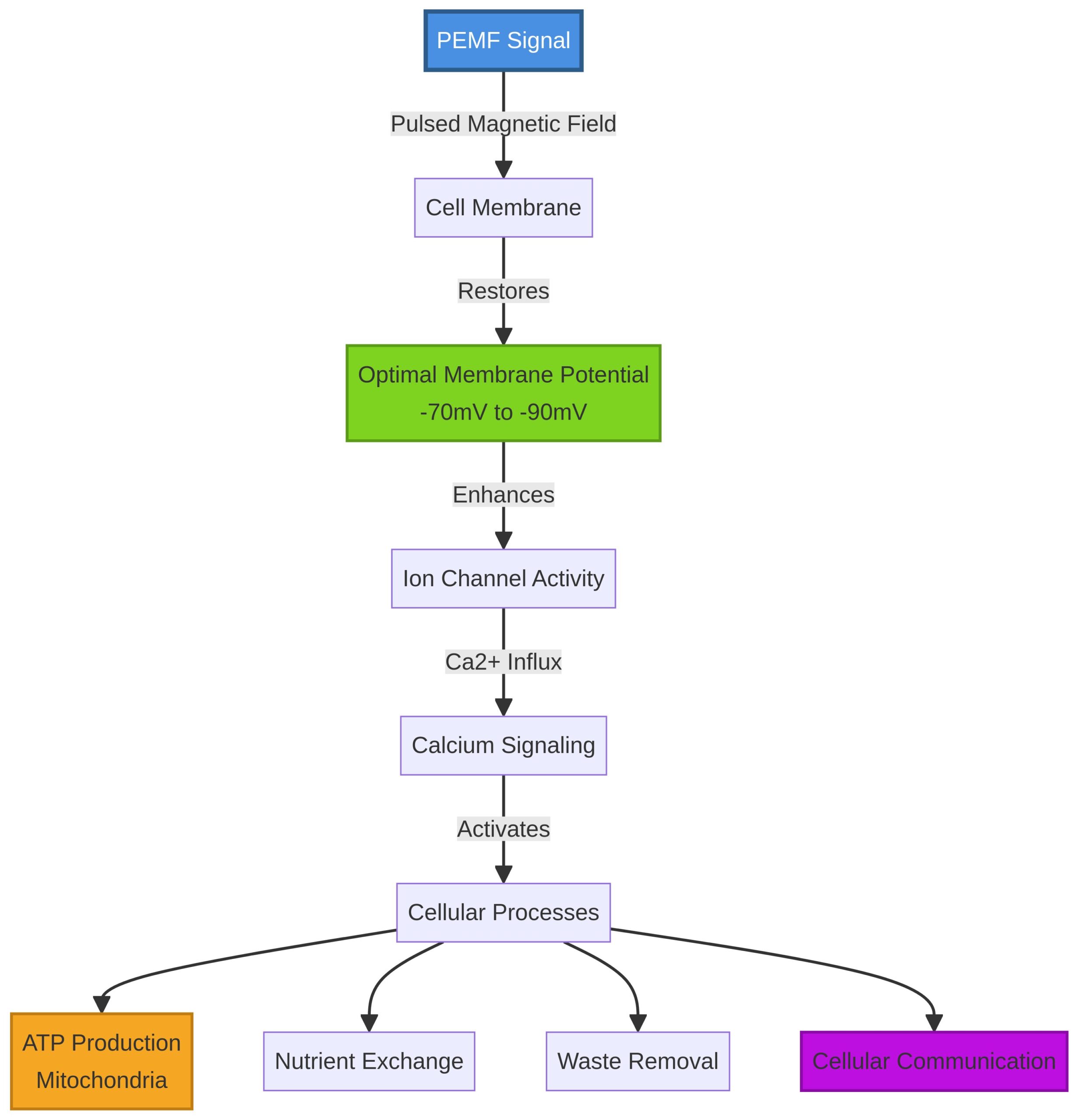 Diagram illustrating how PEMF influences cell membrane potential and ion channels.
