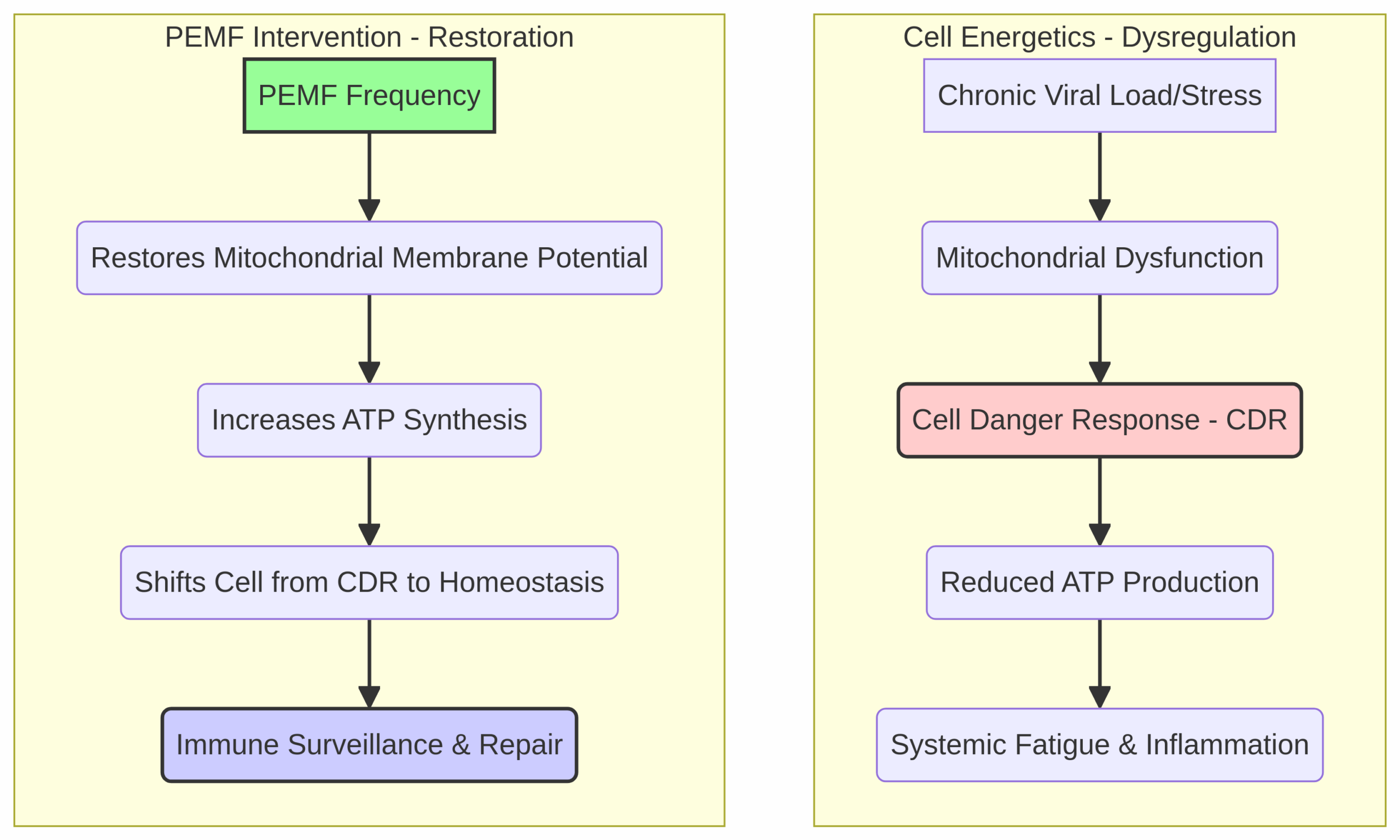 PEMF Mechanism on Cellular Energetics