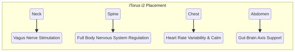 Diagram showing iTorus i2 placement
