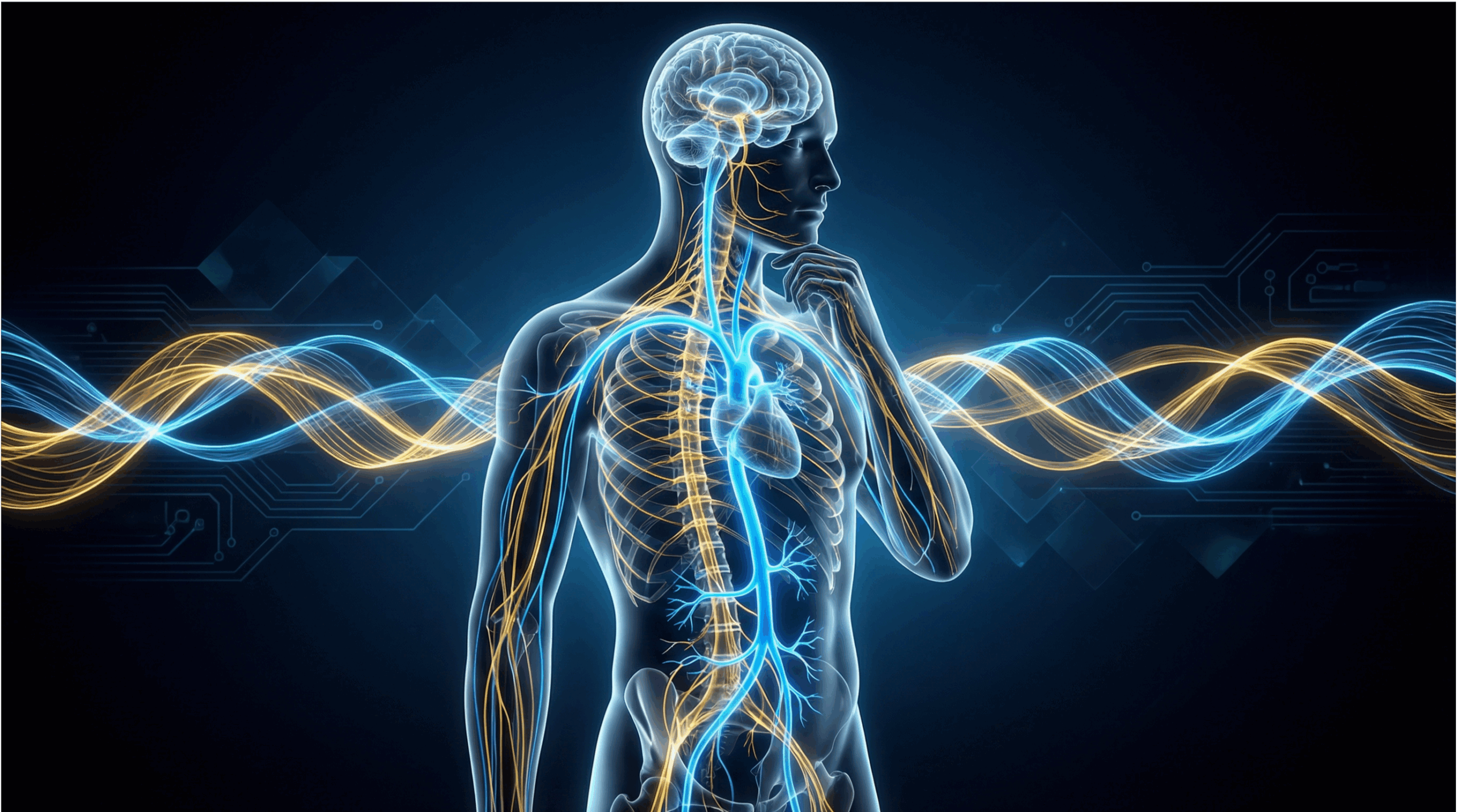 The Secret Cause of Your Chronic Anxiety and Fatigue? The Elite Are Using This Breakthrough to Fix It