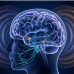 The Synkinesis Secret: MIT and Harvard Researchers Uncover a “Neural Coordination Code” That Could Rewire Your Brain’s Faulty Circuits