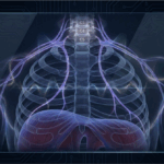 The Hidden Nerve That Controls Your Breathing and How to Reset It for Instant Relief