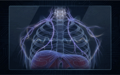 The Hidden Nerve That Controls Your Breathing and How to Reset It for Instant Relief