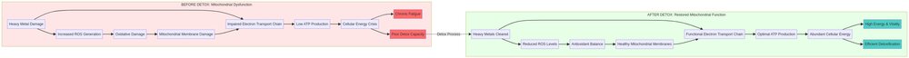 Mitochondrial Function Before and After Detox