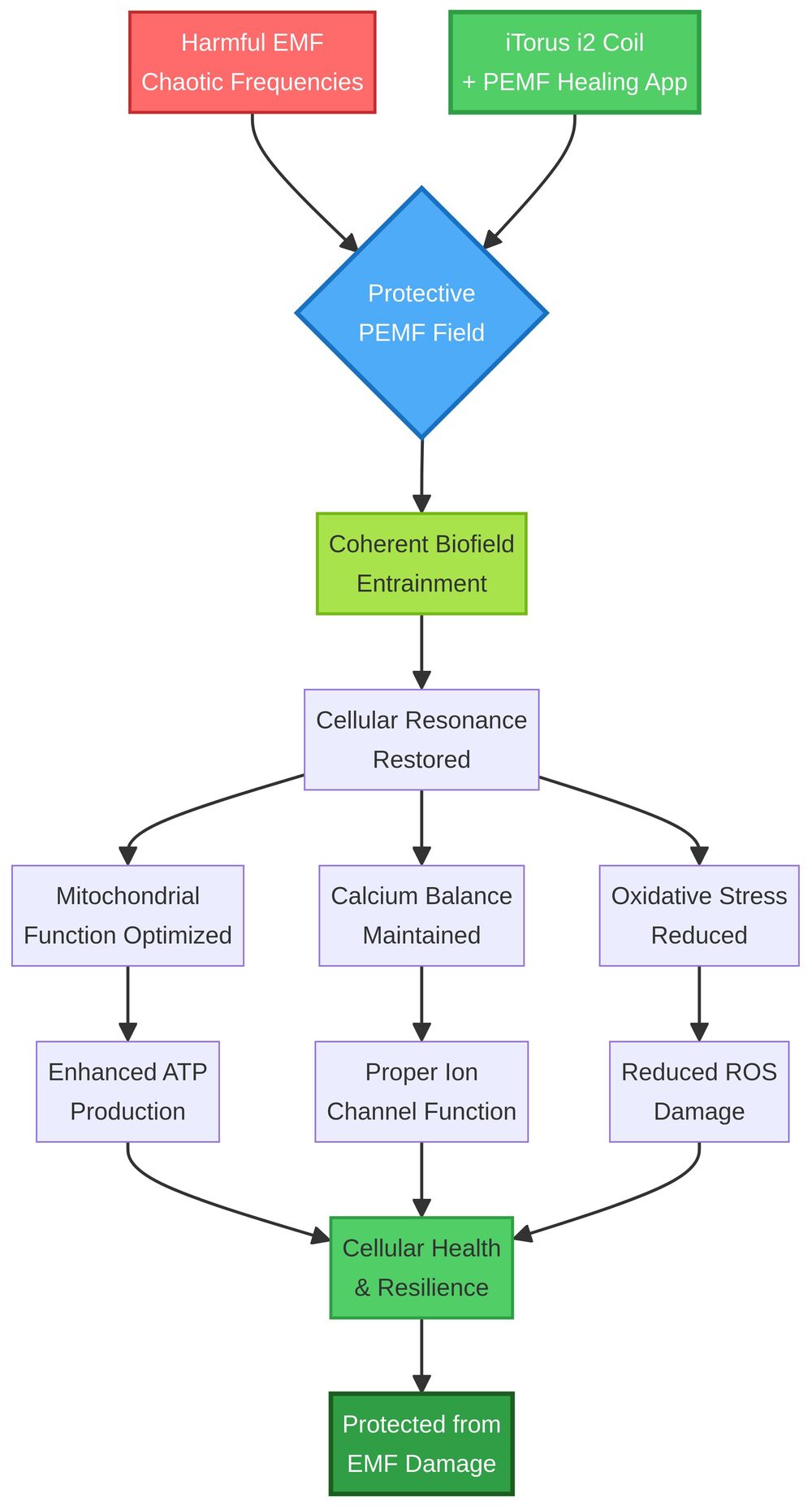 How PEMF Creates a Protective Biofield Against EMF
