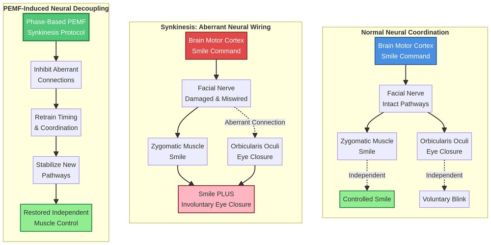 Diagram: Synkinesis vs. Coordinated Movement