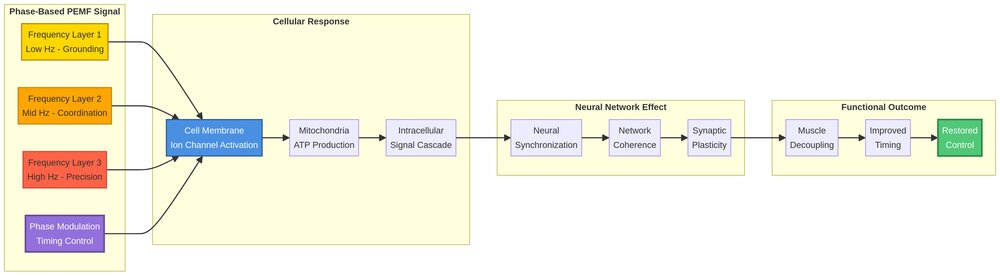Diagram: PEMF Phase-Modulation Mechanism