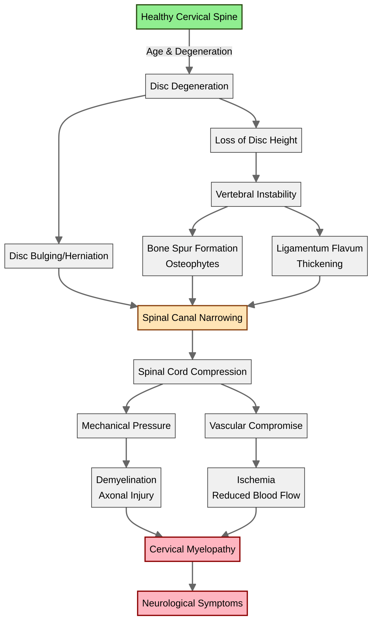 Cervical Spinal Stenosis Pathophysiology