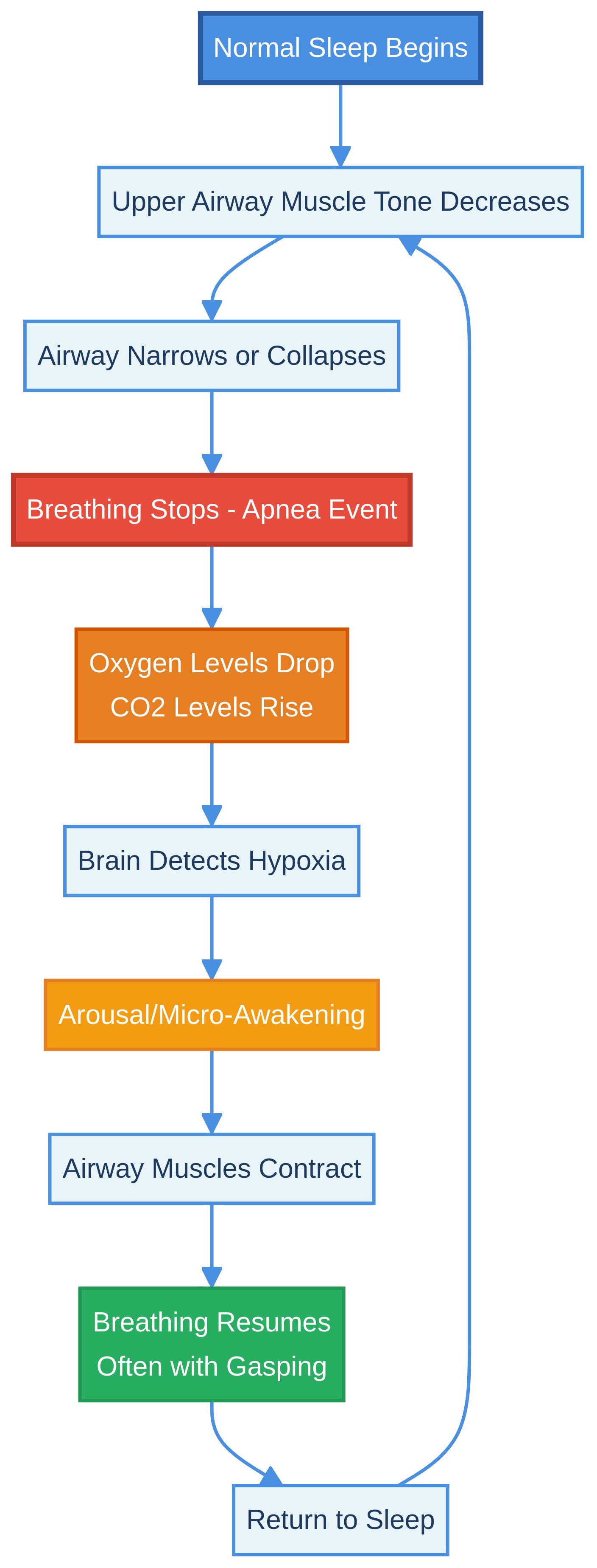 The Vicious Cycle of Sleep Apnea