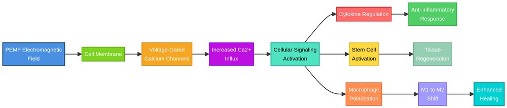 PEMF Therapy Mechanism Diagram