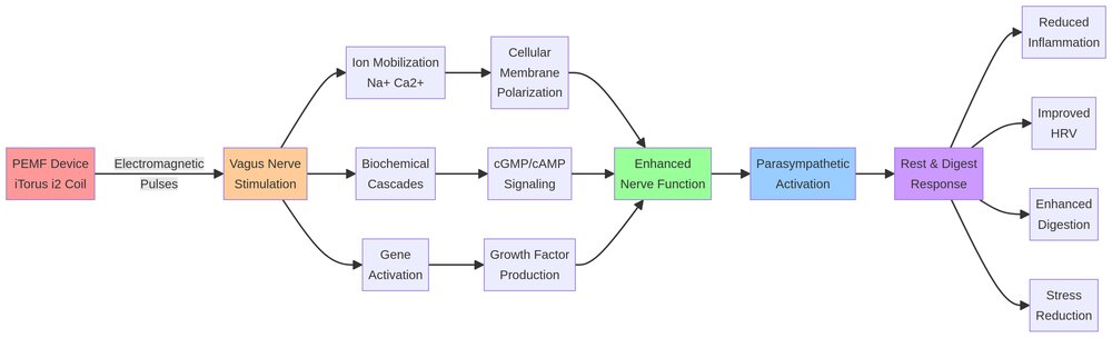 PEMF Mechanism on Vagus Nerve Diagram