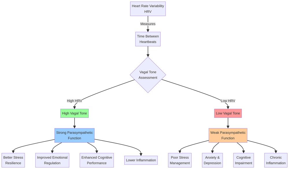HRV and Vagal Tone Relationship Diagram