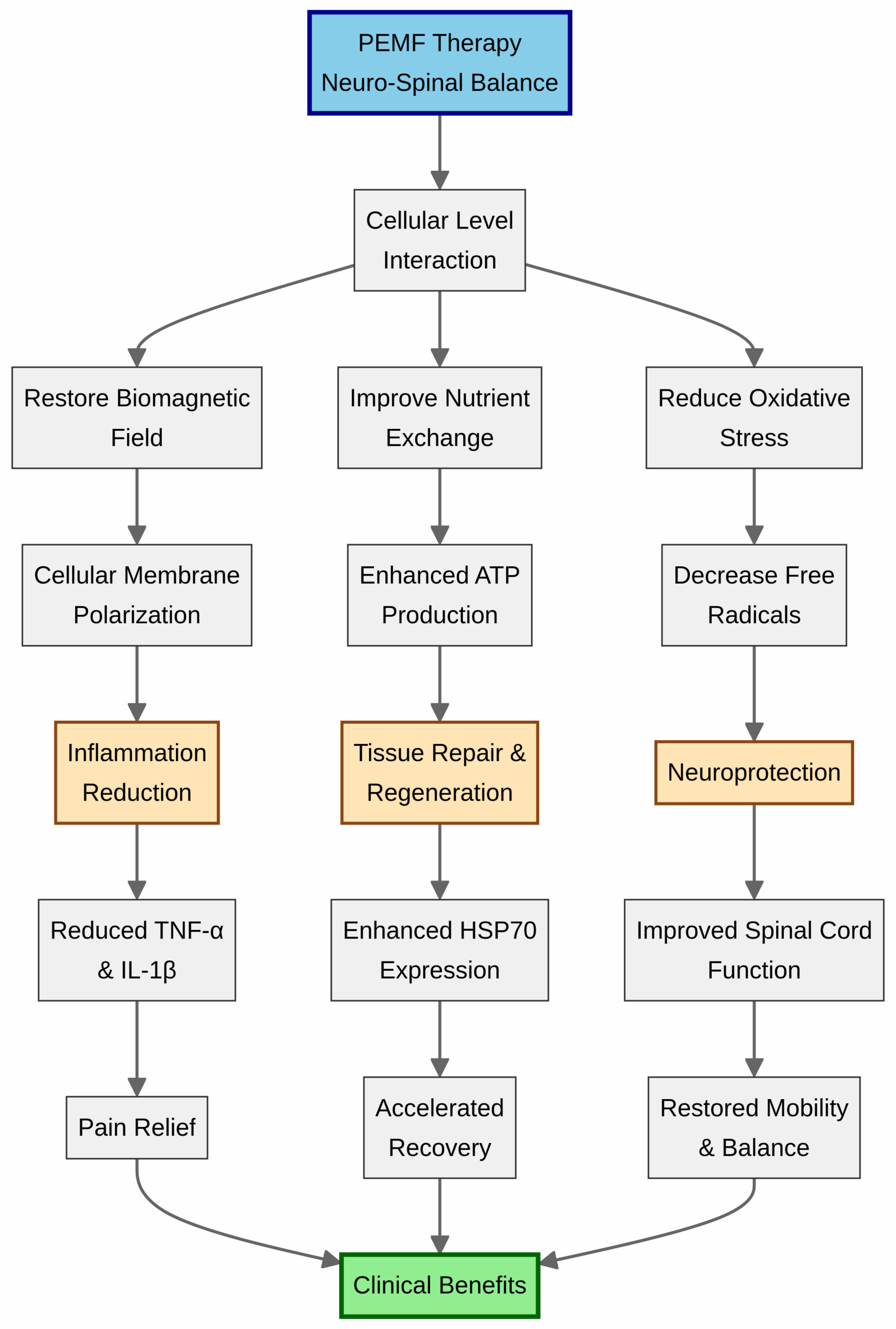 PEMF Mechanisms of Action