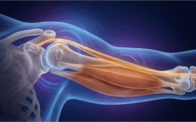 The Elite Bio-Hack That Rebuilds Biceps Tendons Without Surgery