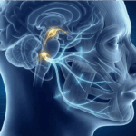 The Energetic Breakthrough in Facial Nerve Regeneration: A New Hope for Ramsay Hunt Syndrome