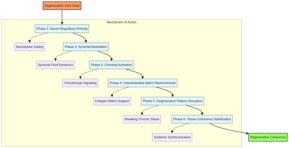 Joint Regeneration 6-Phase Energetics Diagram
