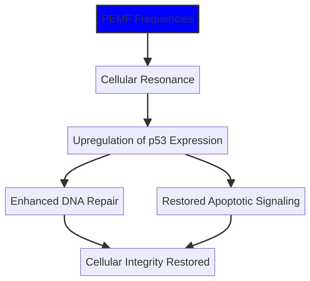 PEMF Restoration Diagram
