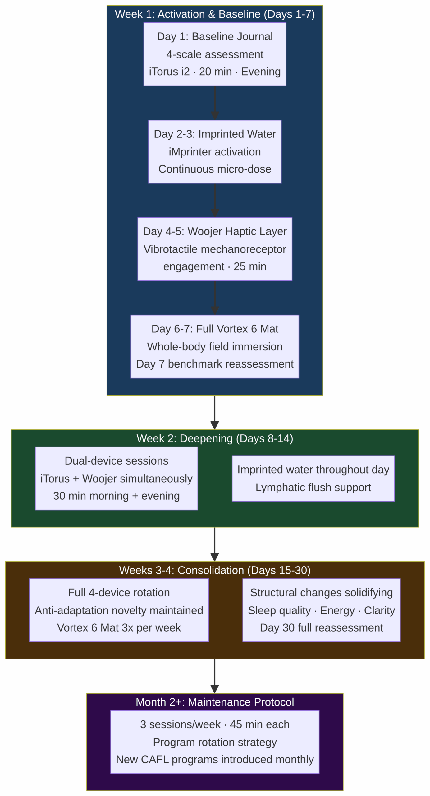 30-day protocol phases diagram