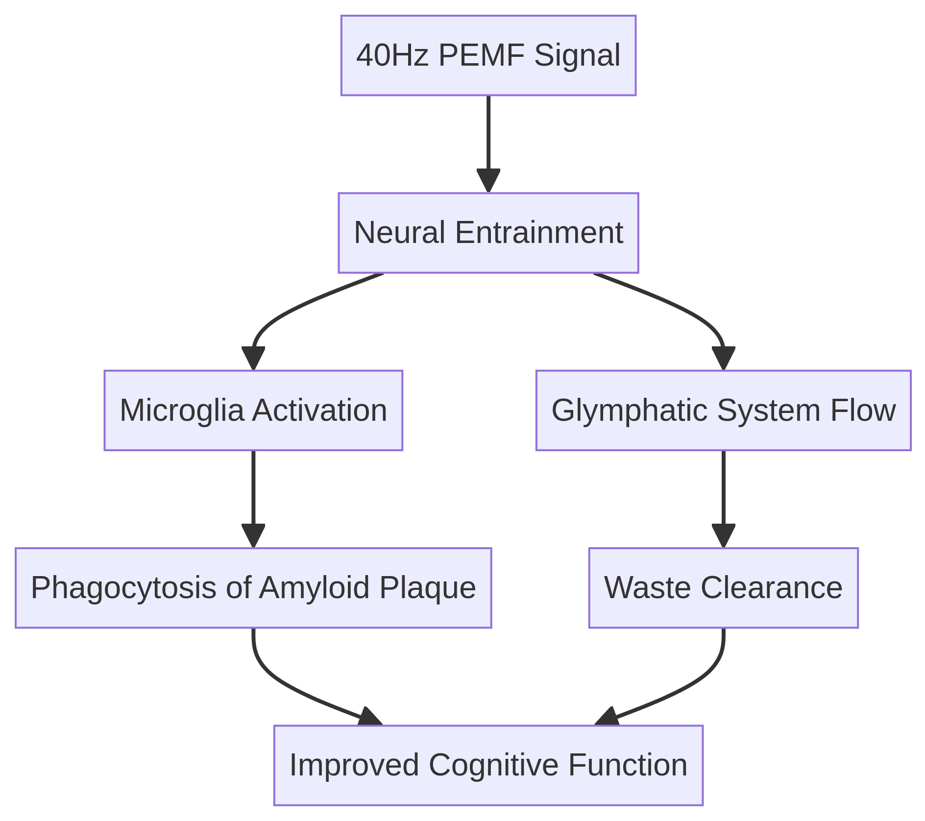Glymphatic Clearance Diagram