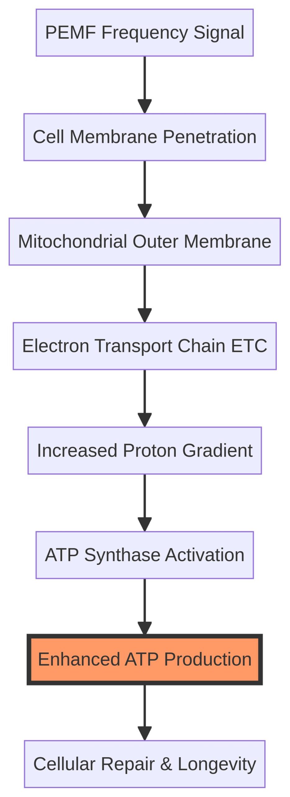 Mitochondrial Electron Transport Chain & PEMF Interaction