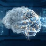 The Brain Fog Epidemic: What is Actually Happening to Human Cognition Right Now?