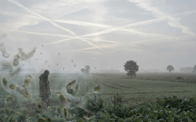 32X CAFL Detox: Chemtrail Metals & Mycoplasma, Why Rife Frequencies Stop Working