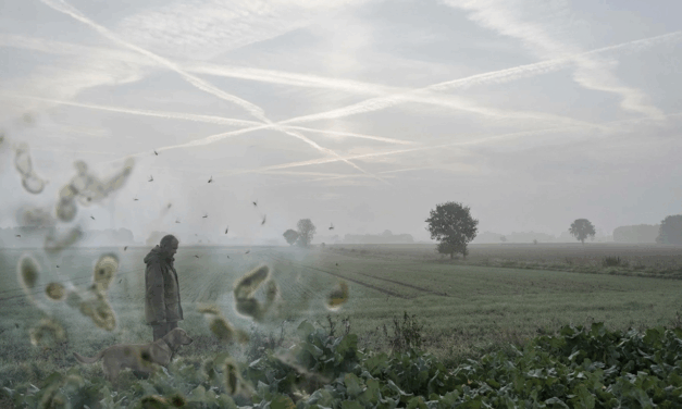 32X CAFL Detox: Chemtrail Metals & Mycoplasma, Why Rife Frequencies Stop Working