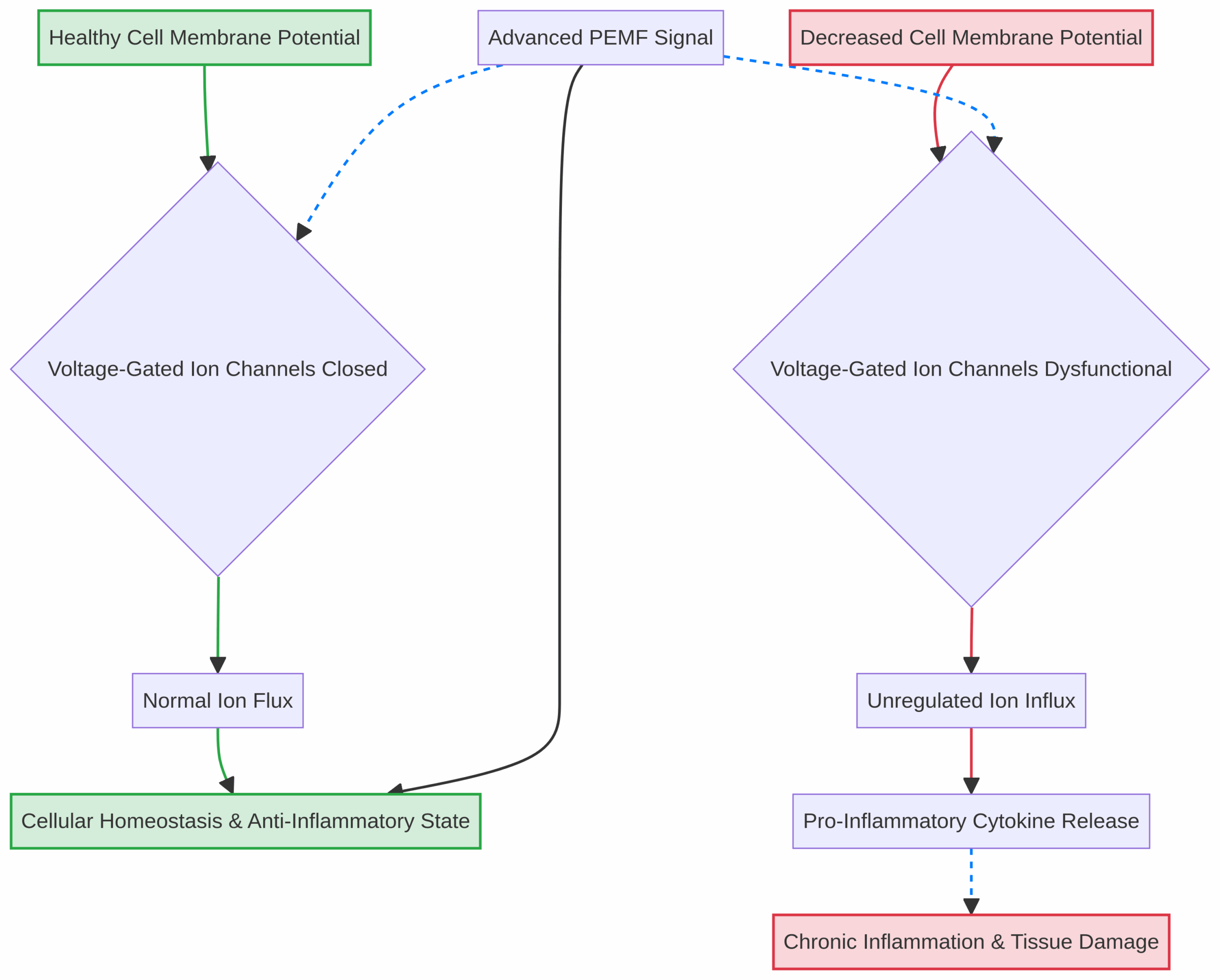 Voltage-Gated Ion Channels and Inflammation Diagram