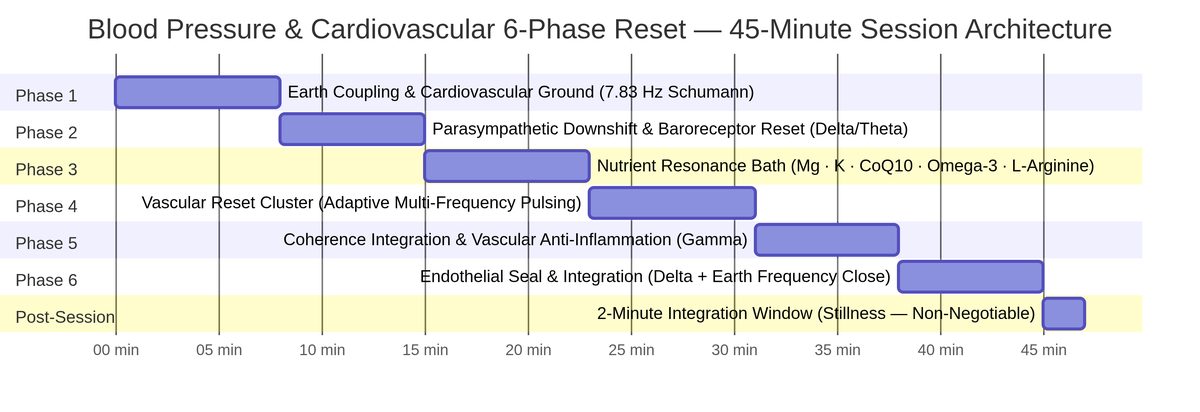 6-Phase Protocol Timeline