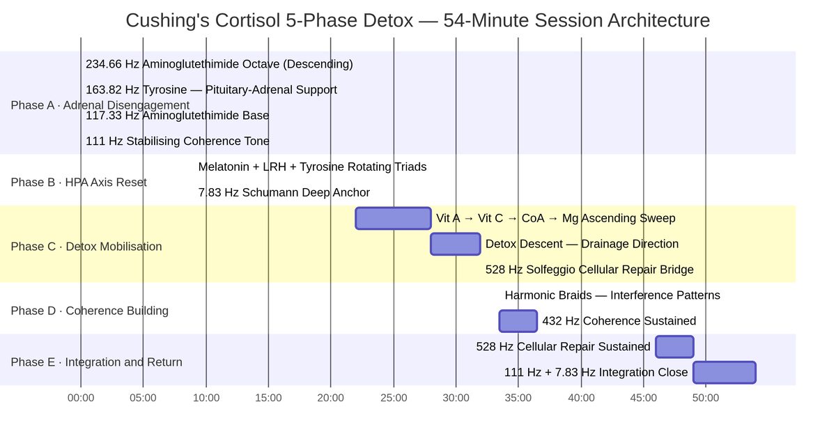 Cushing's Cortisol 5-Phase Detox — 54-Minute Session Timeline