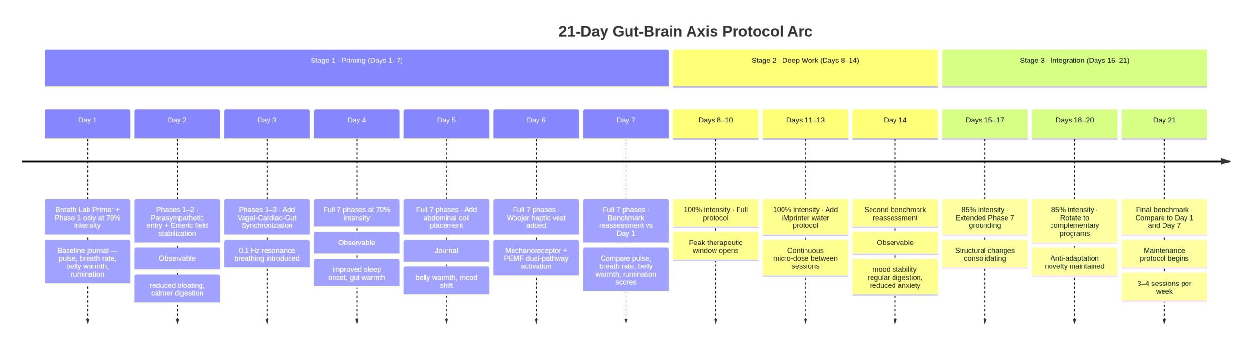 21-Day Gut-Brain Axis Protocol Arc — Priming, Deep Work, Integration