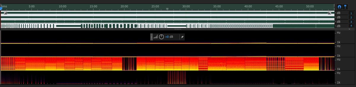 Cushing's Cortisol 5-Phase Detox — 4-Channel Spectral Overview