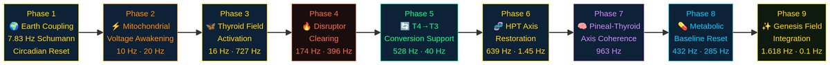 Thyroid Reset 9-phase PEMF protocol architecture diagram