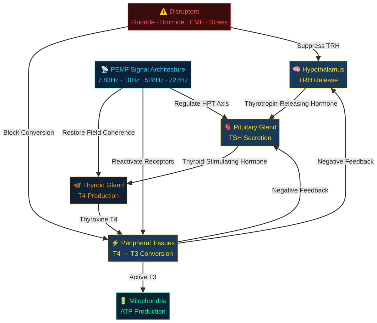 HPT axis diagram showing how PEMF signal architecture restores thyroid function