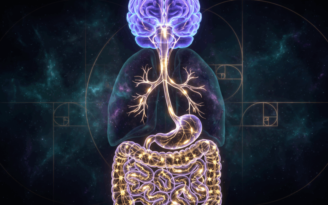 Your Gut Has 500 Million Neurons. Is It Talking to Your Brain? (The Gut-Brain Axis Vagal-Enteric Coherence Matrix)