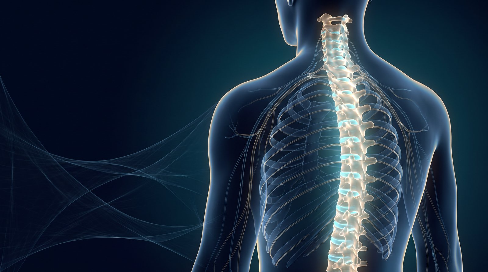 Spinal Axis Renewal 9-Phase BioPhi-Harmonic Advanced Energetics